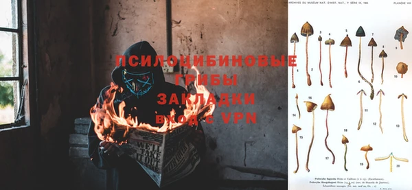 твердый Алексин