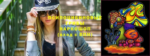 ешки Пестово